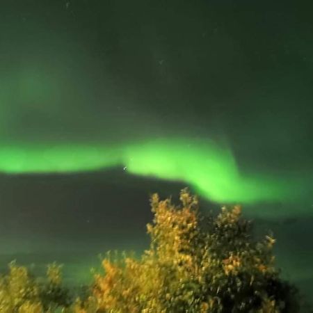 Aurora Rooms: Northern Lights & Adventure Tours Tromso Exterior photo