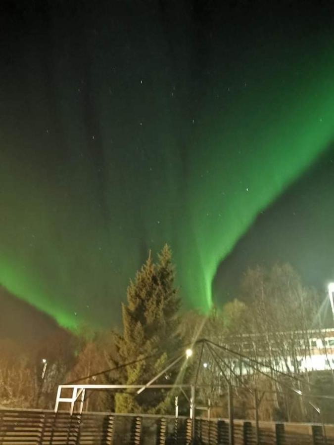 Aurora Rooms: Northern Lights & Adventure Tours Tromso Exterior photo